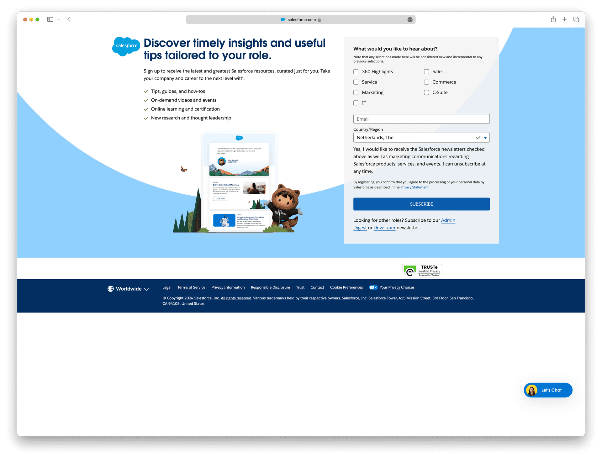 Screenshot example of salesforce-newsletter newsletter