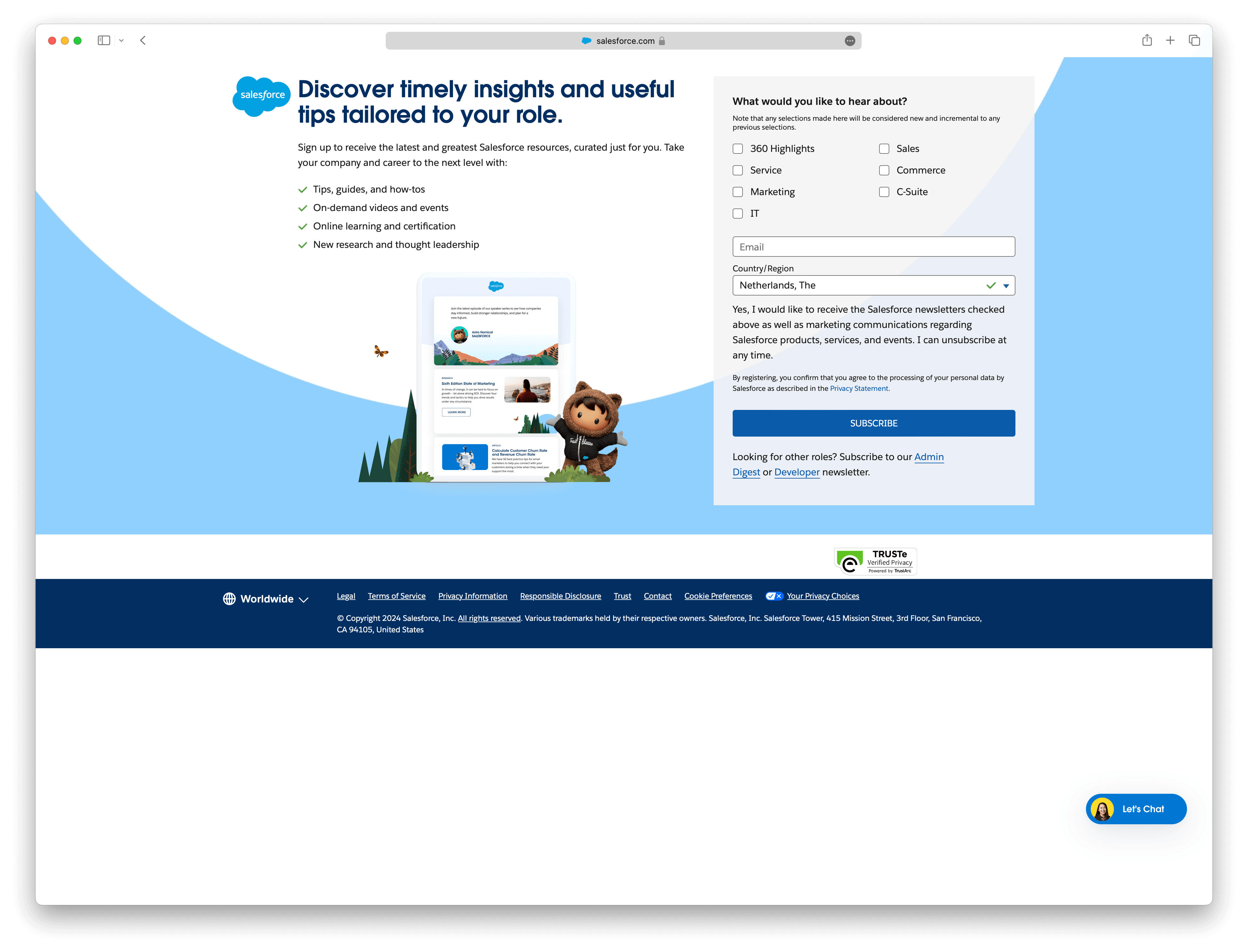 Screenshot example of salesforce-newsletter newsletter